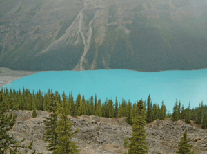The Grandest View of Turquoise Bow Lake Lining the Icefields Parkway