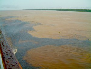 Two colors of water swirling as the Rio Negro and Amazon merge