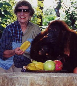 Woman holding piece of fruit next to orangutan in front of bowl of fruit