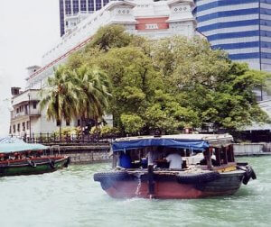Boat sailing on river with large tree and buildings behind it