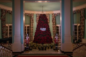 Large Christmas tree made of red roses with two nutcrackers in front