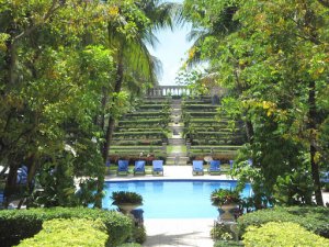 moss covered stairs lined with palm trees leading to blue pool in the Bahamas